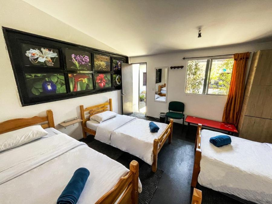 El Yarumo Hostel Bogota Bagian luar foto