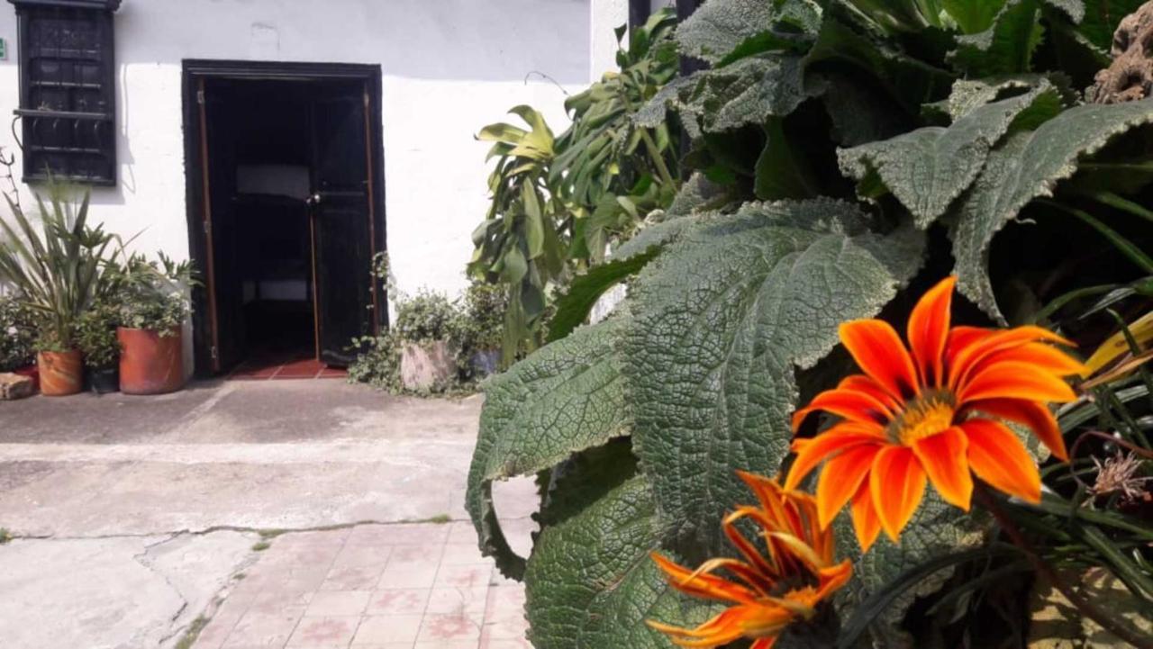 El Yarumo Hostel Bogota Bagian luar foto